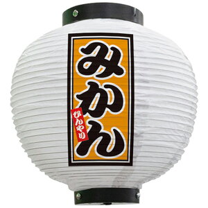 tJ[ ی^ ݂ Ђ ij No.43720i󒍐YiELZsj