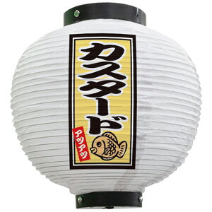 tJ[ ی^ JX^[h AcAc ij No.43761i󒍐YiELZsj