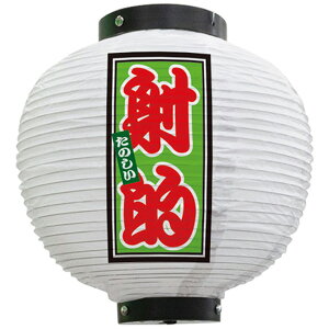 tJ[ ی^ ˓I ̂ ij No.43777i󒍐YiELZsj