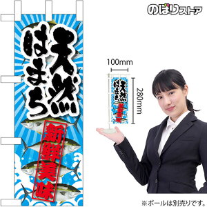 ~ĵڂ VR͂܂ VNNo.45161 i󒍐YiELZsj