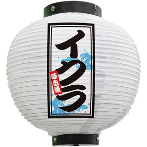 tJ[ ی^ CNij No.46551i󒍐YiELZsj