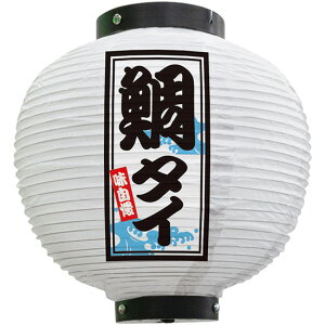 tJ[ ی^  ^Cij No.46553i󒍐YiELZsj