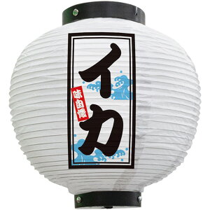 tJ[ ی^ CJij No.46555i󒍐YiELZsj