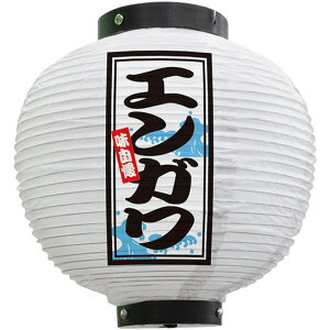 tJ[ ی^ GKij No.46557i󒍐YiELZsj