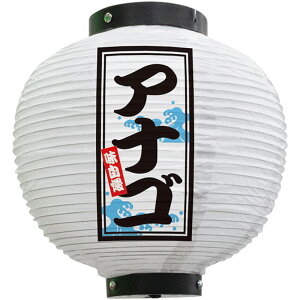 tJ[ ی^ AiSij No.46559i󒍐YiELZsj