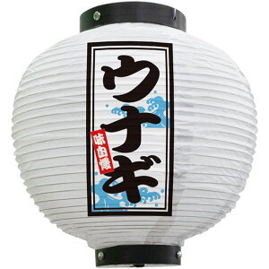 tJ[ ی^ EiMij No.46560i󒍐YiELZsj