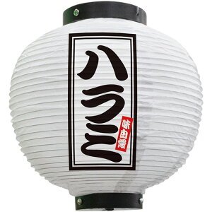 tJ[ ی^ n~ij No.46574i󒍐YiELZsj