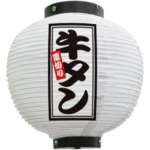 tJ[ ی^ ؂苍^ij No.46589i󒍐YiELZsj