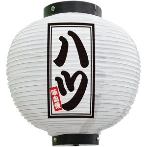 tJ[ ی^ ncij No.46613i󒍐YiELZsj