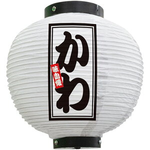 tJ[ ی^ ij No.46617i󒍐YiELZsj