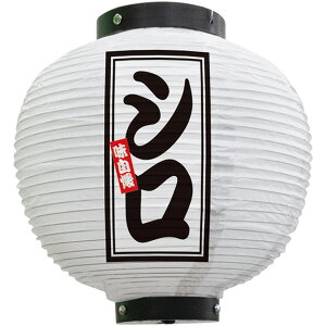 tJ[ ی^ Vij No.46622i󒍐YiELZsj