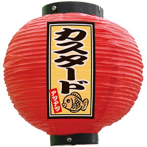 tJ[ ی^ JX^[h AcAc iԁj No.52313 i󒍐YiELZsj