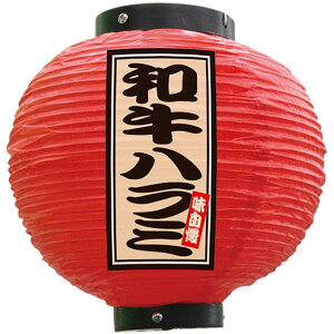 tJ[ ی^ an~ iԁj No.52356 i󒍐YiELZsj