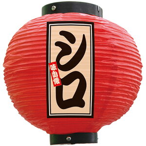 tJ[ ی^ V iԁj No.52402 i󒍐YiELZsj