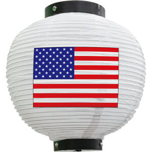 tJ[ ی^ AJ ij No.54407 i󒍐YiELZsj