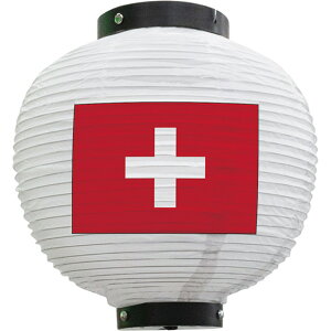 tJ[ ی^ XCX ij No.54416 i󒍐YiELZsj