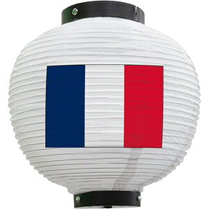 tJ[ ی^ tX ij No.54420 i󒍐YiELZsj