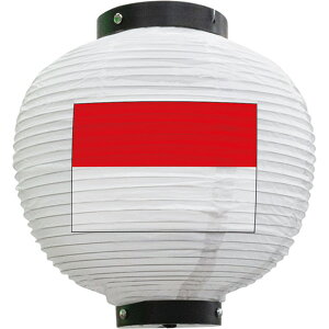 tJ[ ی^ ChlVA ij No.54424 i󒍐YiELZsj