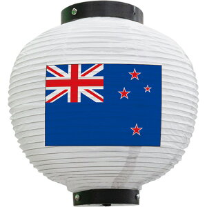 tJ[ ی^ j[W[h ij No.54436 i󒍐YiELZsj