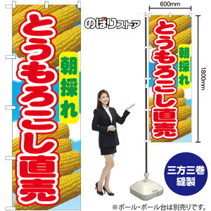 のぼり旗 とうもろこし直売 朝採れ (写真・青) No.54869 (受注生産品・キャンセル不可)