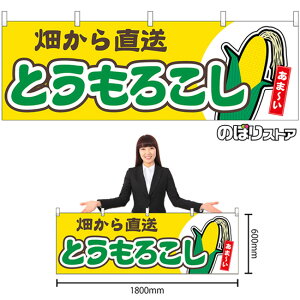  Ƃ낱 ܁` 璼 ij No.54882 i󒍐YiELZsj