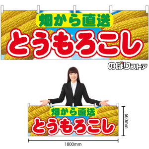  Ƃ낱 璼 iʐ^Ej No.54894 i󒍐YiELZsj