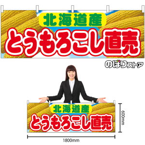  Ƃ낱 kCY iʐ^Ej No.54908 i󒍐YiELZsj