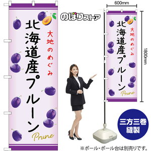 ̂ڂ kCYv[ n̂߂ No.54973 i󒍐YiELZsj