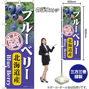 ̂ڂ u[x[ kCY ^S߂ĒJɍ܂ No.54986 i󒍐YiELZsj