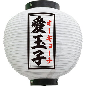  ʎq ی^ ij No.55131 i󒍐YiELZsj