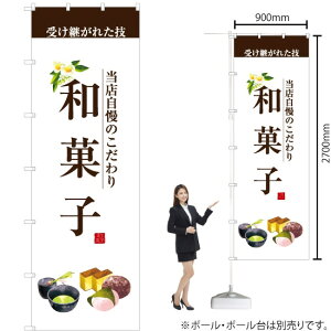 W{̂ڂ aَq ij 󂯌pꂽZ X̂ mNo.67810n i󒍐YiELZsj