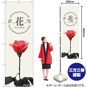  KN ̂ڂ No.81806i󒍐YiELZsj