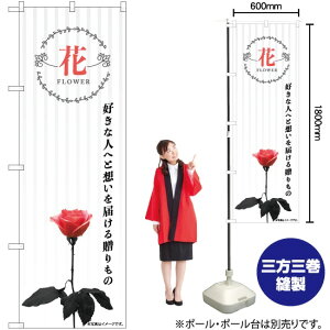 Ԉ XgCv ̂ڂ No.81807i󒍐YiELZsj