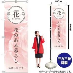 Ԃ̂炵 ̂ڂ No.81809i󒍐YiELZsj