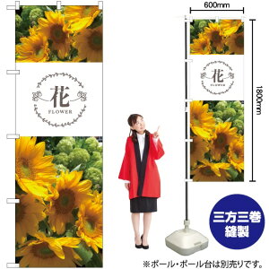  Ђ܂ ̂ڂ No.81813i󒍐YiELZsj