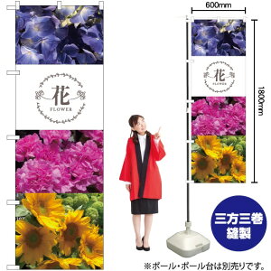  t[^S ̂ڂ No.81816i󒍐YiELZsj