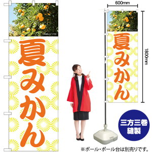 Ă݂ ̂ڂ No.81992i󒍐YiELZsj