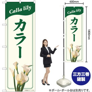 J[ ̂ڂ No.82704i󒍐YiELZsj