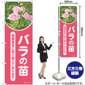 【3枚まで送料297円】バラの苗 （ピンク） 写真 のぼり No.84236 花 園芸（受注生産品・キャンセル不可）