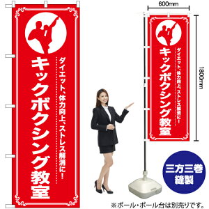 LbN{NVO ̂ڂ AKB-1090i󒍐YiELZsj