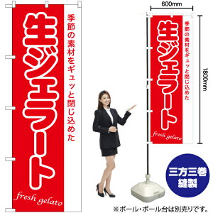 WF[g ̂ڂ AKB-1272i󒍐YiELZsj