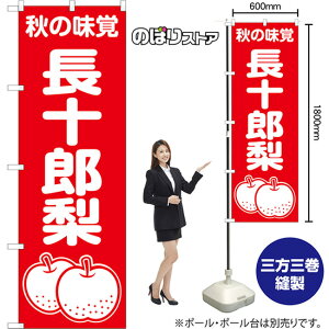 ̂ڂ \Y H̖o AKB-1509 i󒍐YiELZsj