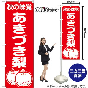 ̂ڂ Â H̖o AKB-1510 i󒍐YiELZsj