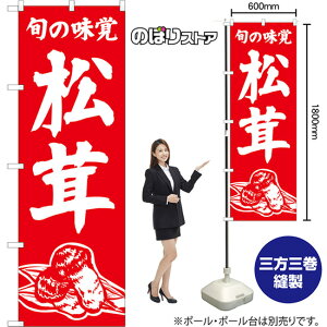 ̂ڂ  {̖o AKB-1535 i󒍐YiELZsj