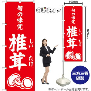 ̂ڂ ő {̖o AKB-1537 i󒍐YiELZsj