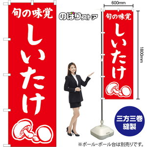 ̂ڂ  {̖o AKB-1538 i󒍐YiELZsj