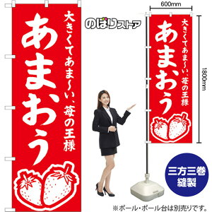 ̂ڂ ܂ 傫Ă܁`A䕂̉l AKB-1551 i󒍐YiELZsj