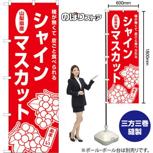 ̂ڂ RYVC}XJbg 킪 炲ƐHׂ AKB-1570 i󒍐YiELZsj