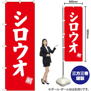 VEI ̂ڂ AKB-503i󒍐YiELZsj