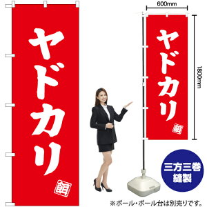 hJ ̂ڂ AKB-504i󒍐YiELZsj